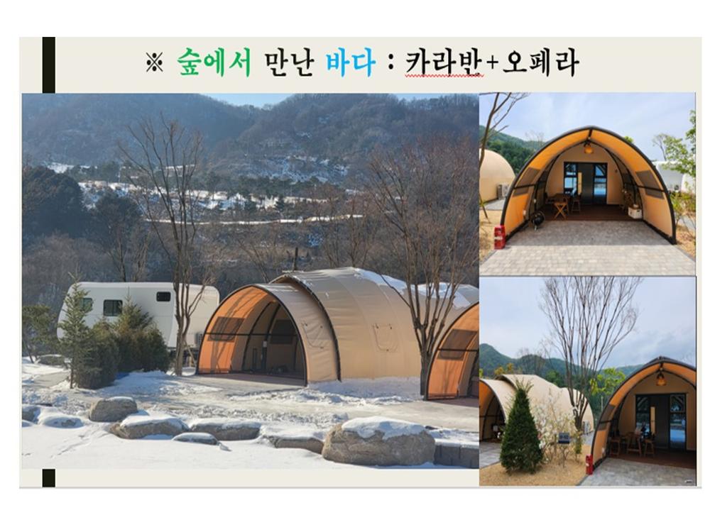 /user/y/yjglamping/editor/2503/23ea35947e76f62dad91a3eb11a48267_1742814593_7359.JPG 이미지크게보기