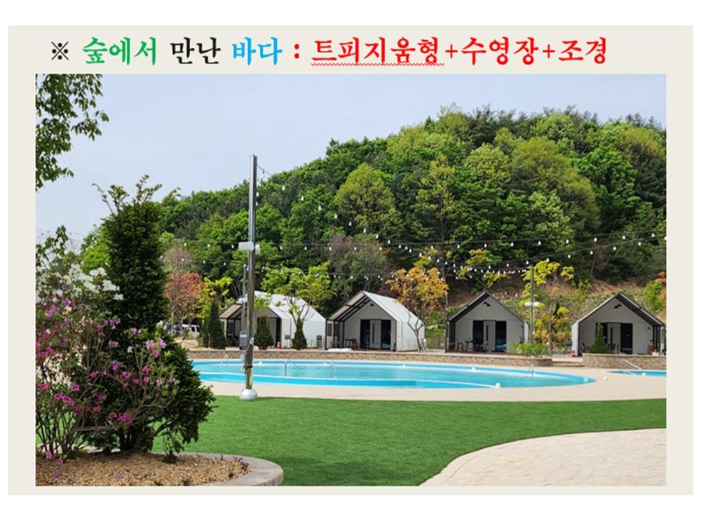 /user/y/yjglamping/editor/2503/23ea35947e76f62dad91a3eb11a48267_1742814606_9248.JPG 이미지크게보기